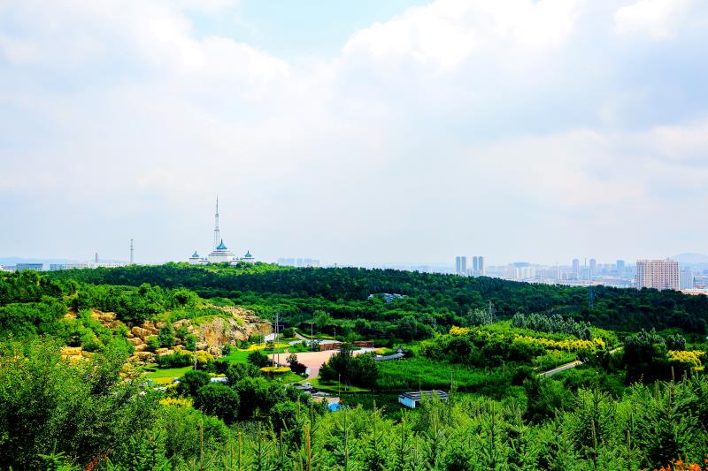 图片6.jpg